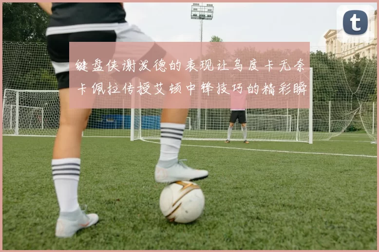 键盘侠谢泼德的表现让乌度卡无奈卡佩拉传授艾顿中锋技巧的精彩瞬间